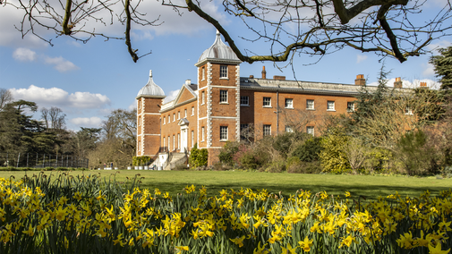 Bright yellow daffodils in the foreground with Osterley House in the back ground against a blue sky